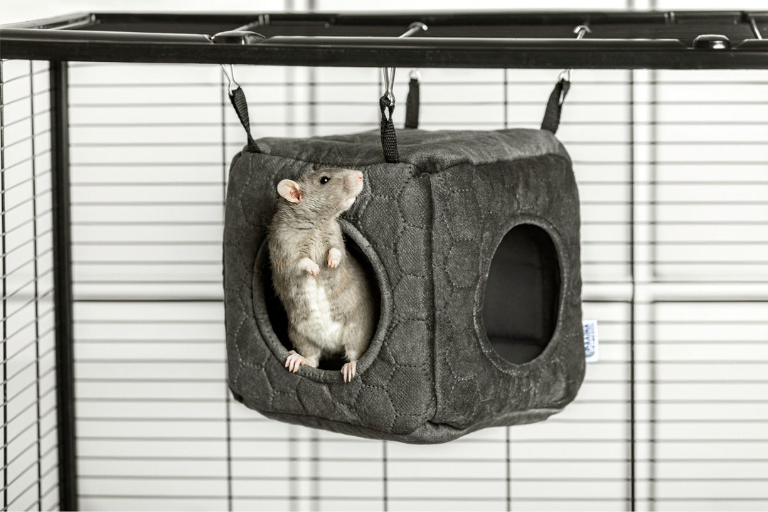 Dual-entrance Cozy Hideout for Guinea Pigs, Rats, and Chinchillas ...