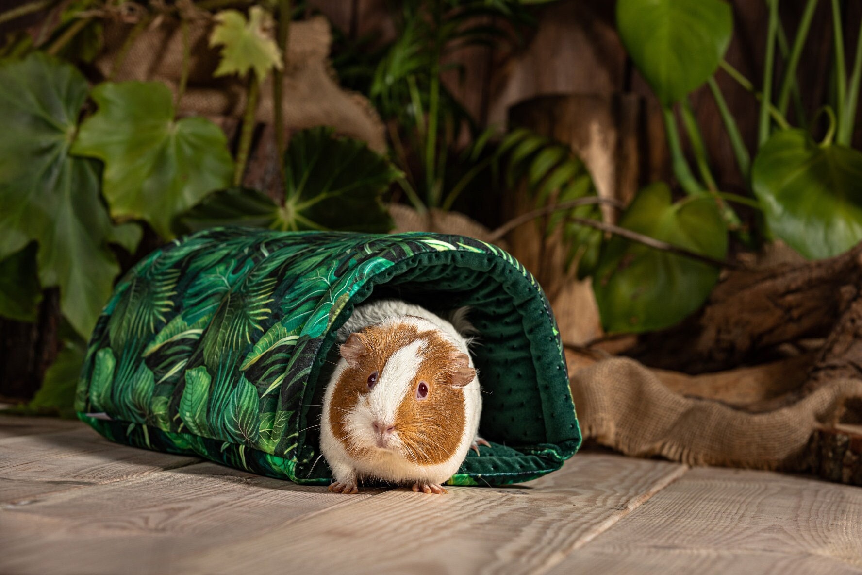 Meerschweinchen zubehör - Etsy.de