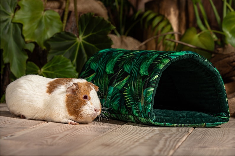 Guinea pigs tunnel, chinchilla tunnel, rabbit tunnel, pygmy hedgehogs tunnel, premium accessory guinea pig accessory , kavee cage image 3