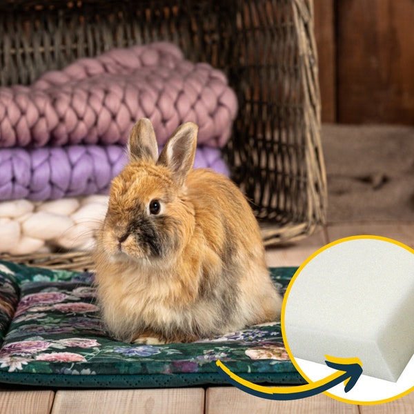 Cage mat - upholstery sponge for rabbits, guinea pigs, hedgehog, rat, chinchillas, rabbit cage mat  -  many sizes