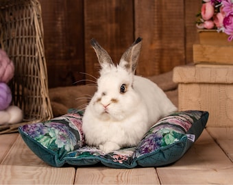 Cama acurrucada para conejos, conejito, almohada para conejos, almohada para hurones