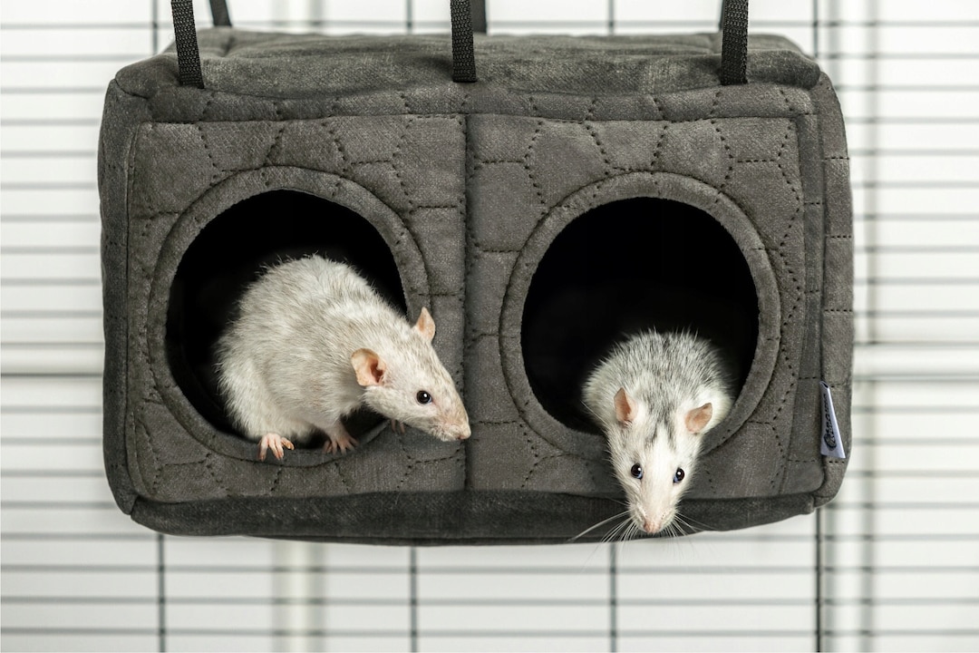 Waterproof House for Rats and Chinchillas - Cuddle Rodent House ...
