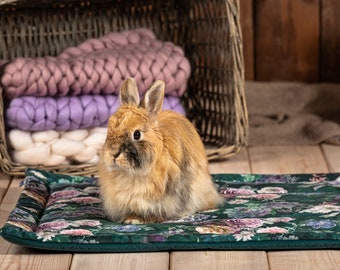 Cage Liner mat for rabbits, guinea pigs, hedgehog, rat, chinchillas, rabbit cage mat  -  many sizes