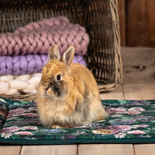 Cage Liner mat for rabbits, guinea pigs, hedgehog, rat, chinchillas, rabbit cage mat  -  many sizes