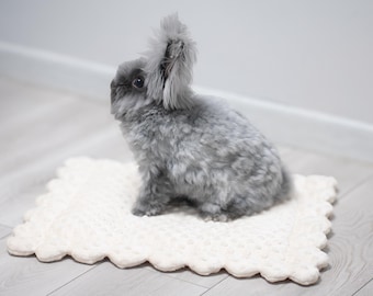 May include: A fluffy, gray rabbit with upright ears sits on a cream-colored, scalloped-edge mat. The rabbit's fur is a soft, textured gray. The mat is made of a textured, woven material.