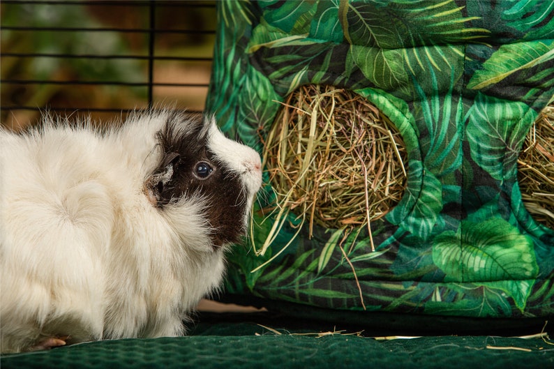 Big hay bag hay feeder for rabbits, guinea pigs and chinchillas image 6