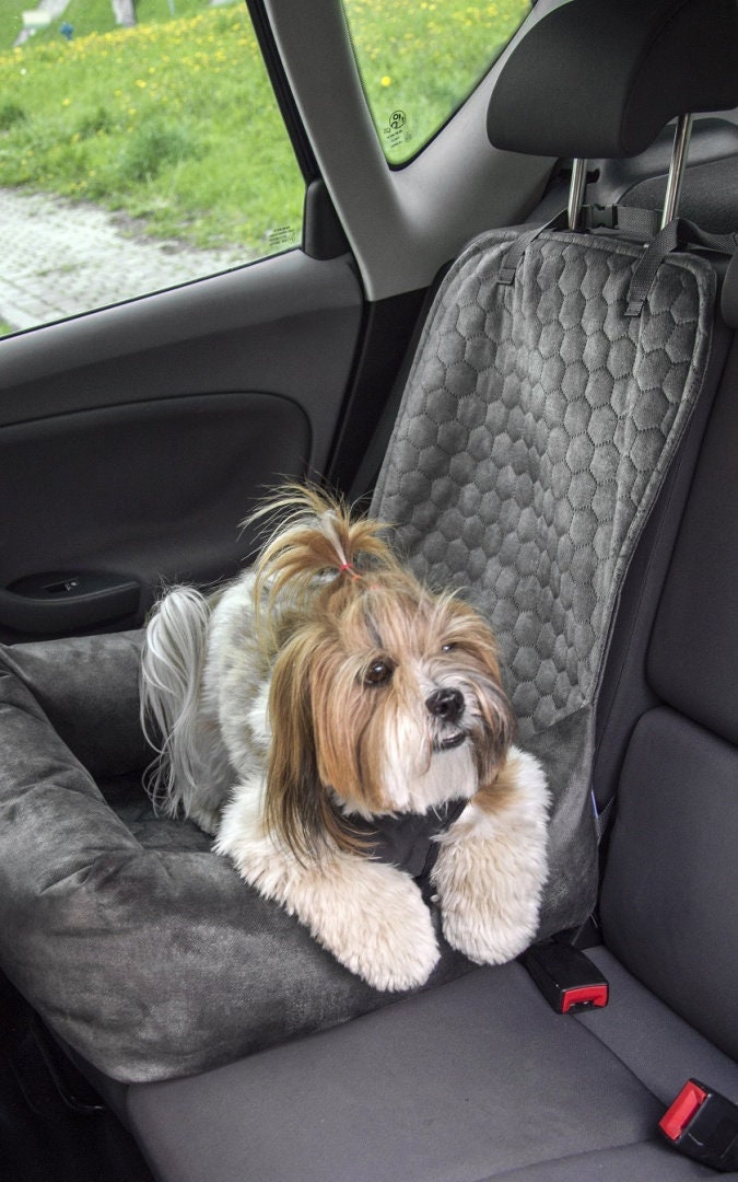 Small dog seat for car -  France