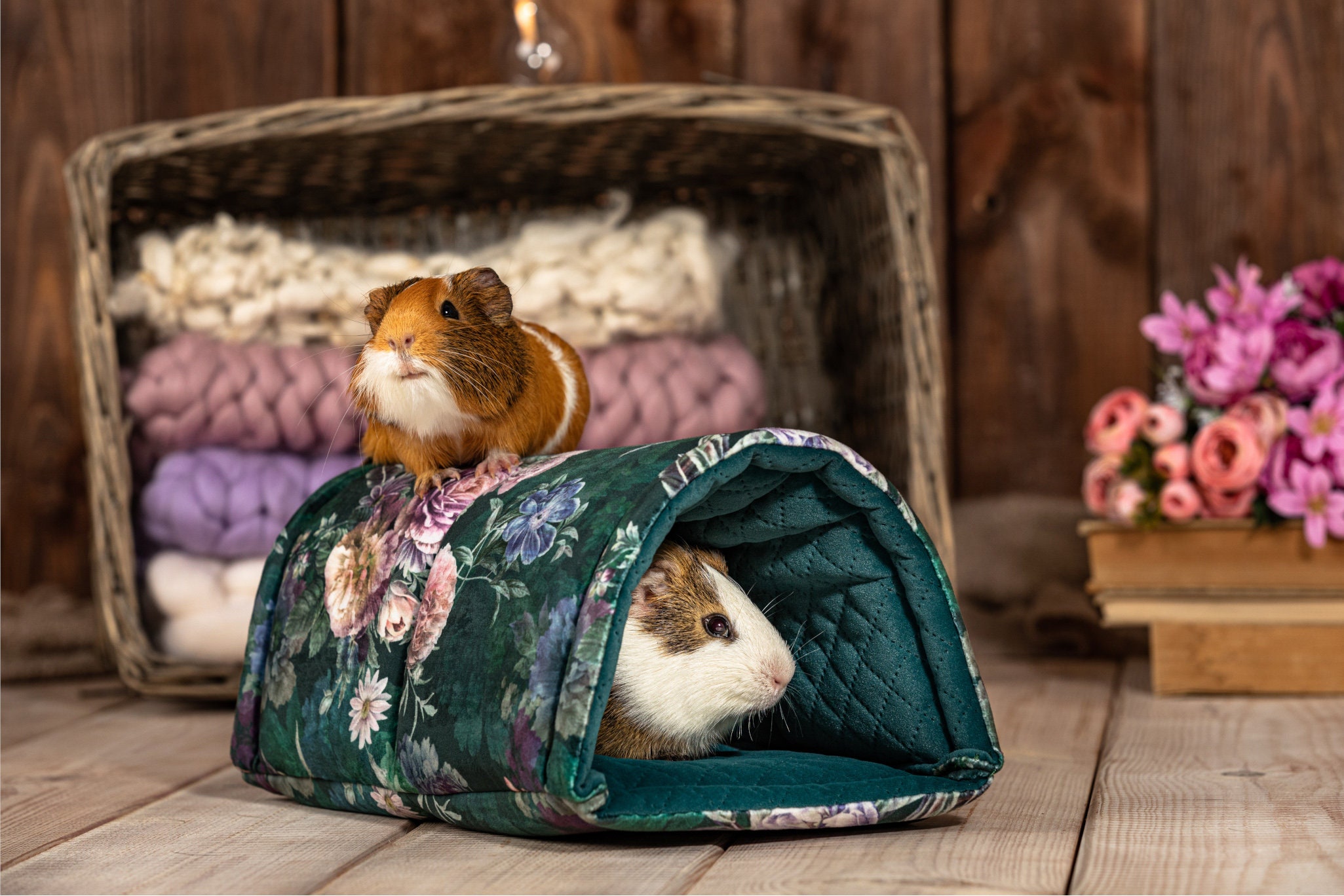 Guinea Pig Toys Etsy UK