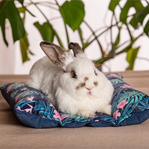 Do rabbits need beds top