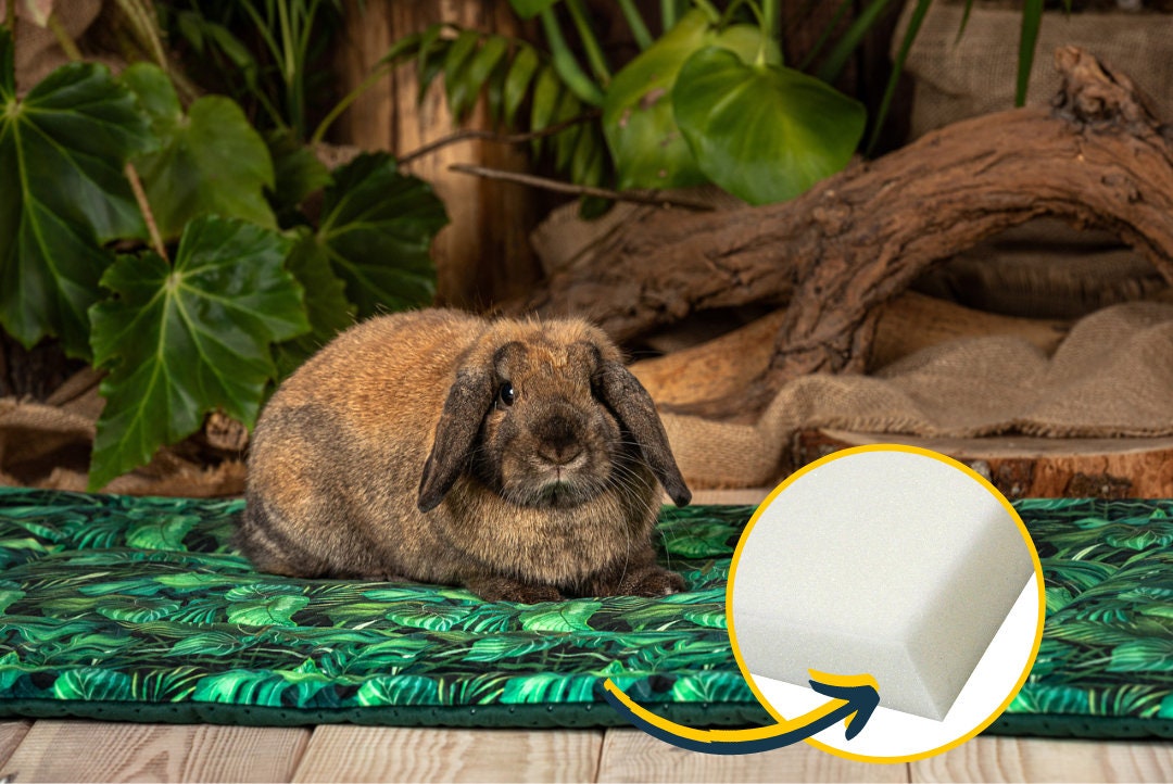 Cage Mat - Upholstery Sponge for Rabbits, Guinea Pigs, Hedgehog, Rat ...