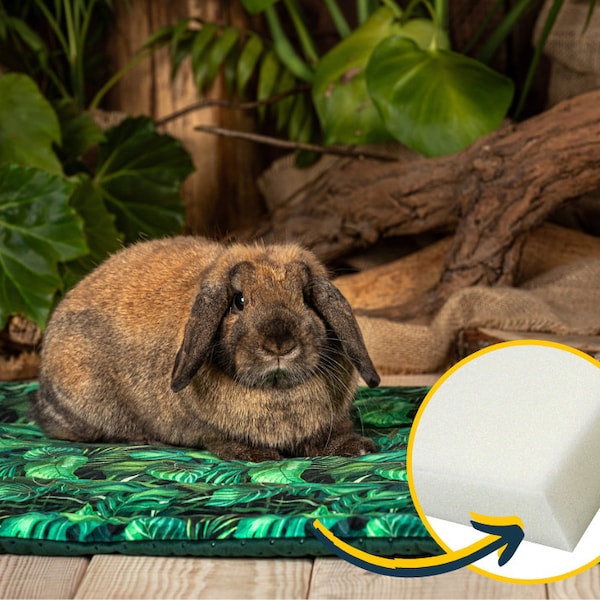 Cage mat - upholstery sponge for rabbits, guinea pigs, hedgehog, rat, chinchillas, rabbit cage mat  -  many sizes