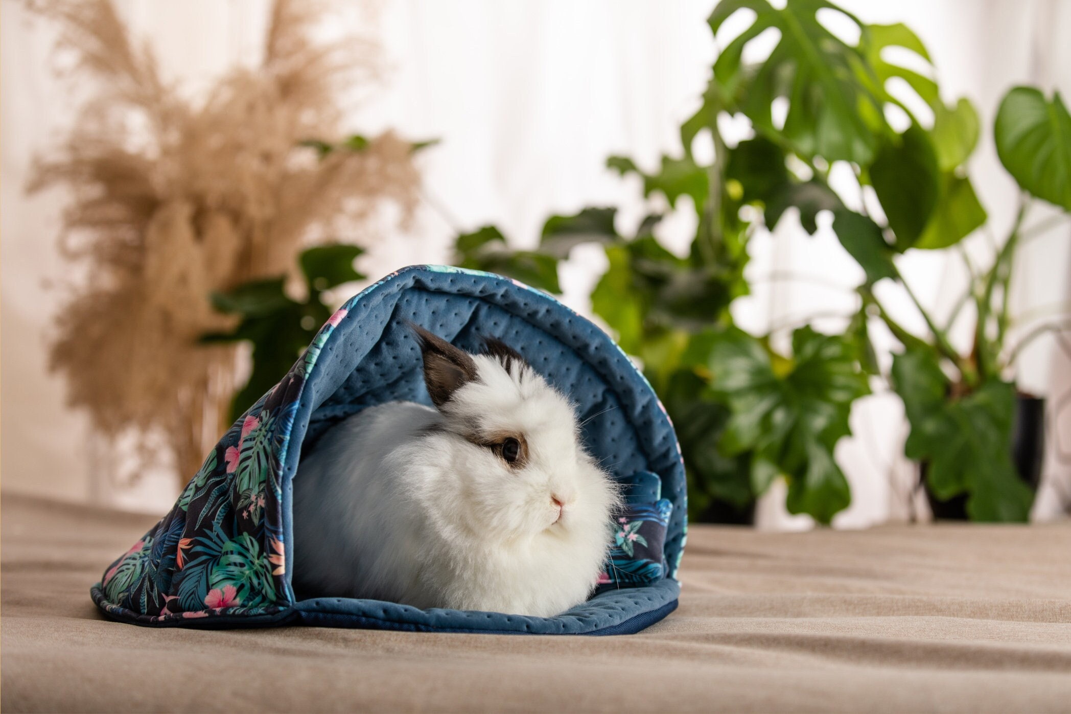 3 size shell-shaped bed / house for rabbits, guinea pigs, chinchillas, hedgehogs, rats, ferrets and other small pets