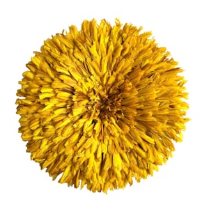 Juju Hat Authentique Jaune [tailles au choix : 35, 50, 65, 80 et 100 cm] décoration murale plumes osier raphia fait main cadeau Bamiléké
