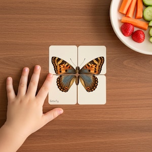 Quebra-cabeça de combinação de insetos para impressão vintage para crianças pequenas, quebra-cabeça de simetria de insetos para crianças, atividade de flashcards Montessori para alunos da pré-escola