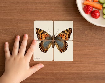 Printable Vintage Insect Matching puzzle for toddler, Insect Symmetry Puzzle for Kids, Montessori Flashcards activity for Preschool students