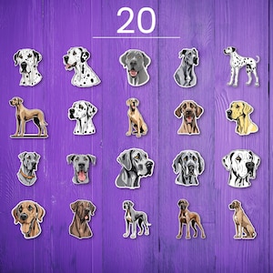 Great Dane SVG bundle, Dog Breeds sticker, Puppie clipart, Great Dane dog digital art, Great Dane sticker, dog lover svg