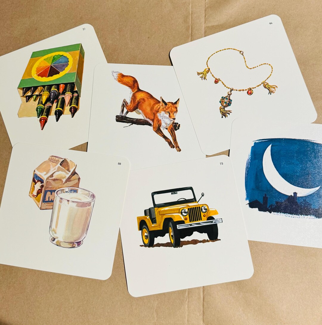 V - Z Large Picture Flash Cards - Etsy