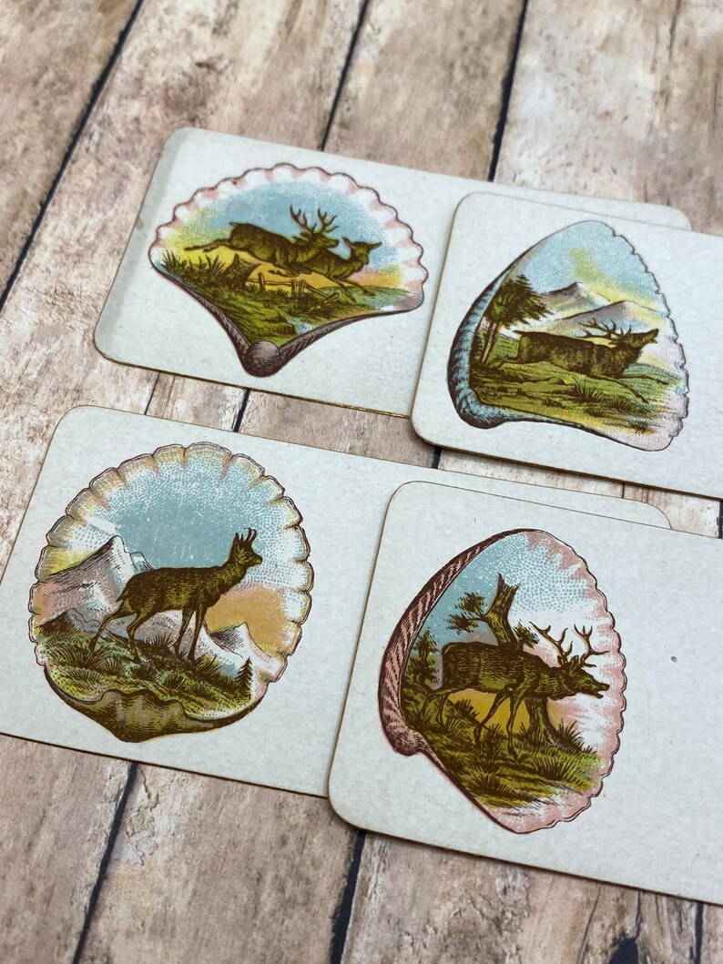 May include: Four vintage playing cards with a seashell design. Each card features a different illustration of a deer or elk in a woodland setting. The cards are printed on thick paper with a textured surface.