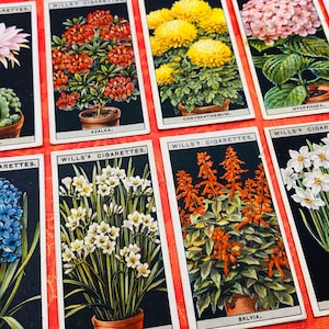 Wills’s Floral Cigarette Cards