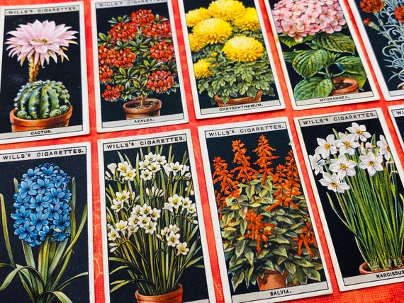 Wills's Floral Collector Cards