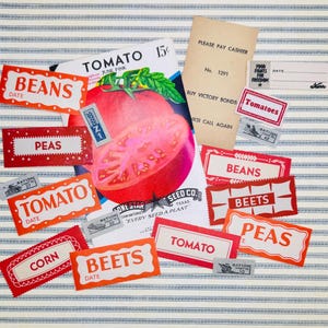 Victory Garden Ephemera - Fruit or Vegetable Vegetable