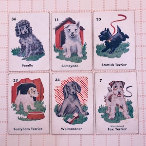 Carte da gioco della razza canina