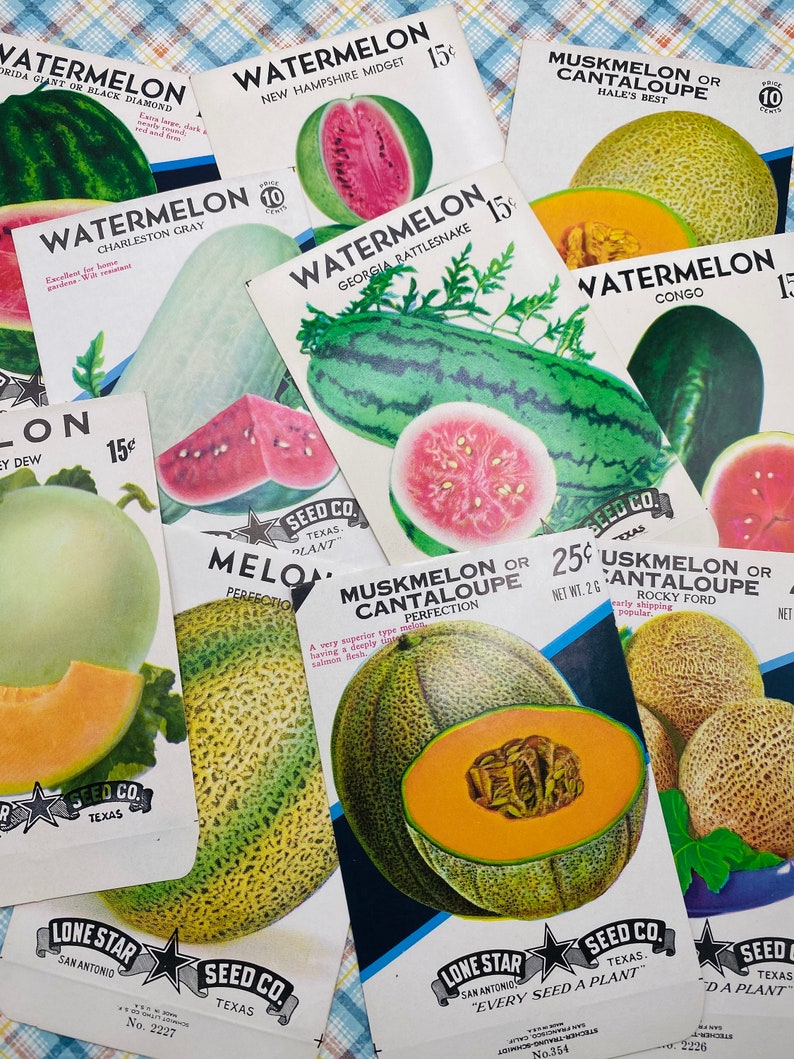 May include: Vintage seed packets for watermelon, cantaloupe, and muskmelon. The packets feature colorful illustrations of the fruits and include the names of the varieties, such as 'Georgia Rattlesnake' and 'Hale's Best'.