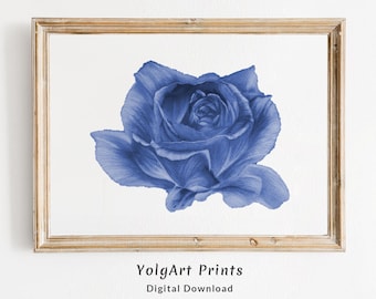 Blue Rose Digital Drawing, Blue Rose Print for Kitchen Decor, Flower Print Download, Rose Painting Wall Art