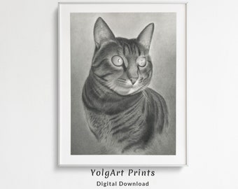 Dibujo a Lápìz en Blanco y Negro de un Gato, Póster Impresión Digital de un Gato, Dibujo Digital Descargable