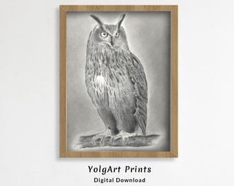Owl Pencil Drawing Print: Realistic Black and White Wall Art (Digital Download)
