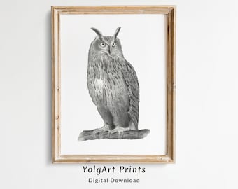 Owl Drawing Print, Owl printable black and white, Wildlife Drawings, Sketch Drawing, Sketch Pencil, Owl Wall Art Instant Download