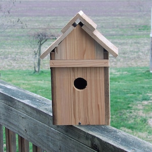 Handcrafted Cider Bluebird House with Easy Open Front for Cleaning