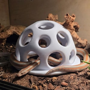 Soft Edge Reptile Climbing Dome Enrichment | Climbing Gym | Ball Python, Corn Snake, Ackie Monitor | 5 Sizes