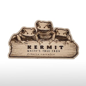 May include: A wooden sign featuring three detailed frog illustrations. The sign reads "KERMIT White's Tree Frog Litoria caerulea" in a serif font. The sign is light brown with a natural wood grain.