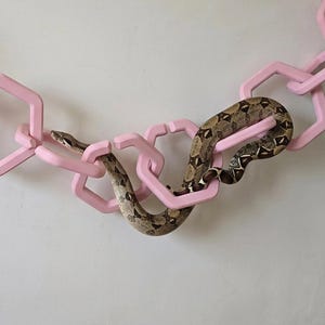 May include: A light pink wall-mounted climbing chain for reptiles, featuring interconnected hexagonal links secured to the wall at both ends. A brown and tan patterned snake is coiled through the links of the chain. The text ROCKSTAR REPTILES is visible.