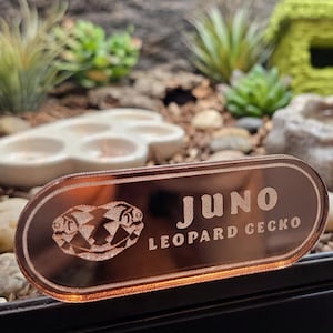 May include: An oval-shaped, reflective copper-colored nameplate featuring an engraved leopard gecko icon and the text JUNO LEOPARD GECKO, positioned in front of a reptile enclosure containing a green hide, a water dish, and artificial plants.