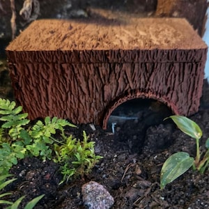 May include: A brown, rectangular reptile hide with a textured bark-like surface and a semi-circular entrance. The hide is placed on dark soil alongside small green ferns, moss, a small plant with variegated leaves, and a small, mottled gray stone.