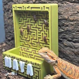 May include: A lime green, rectangular, 3D-printed feeder box featuring a maze pattern on the back panel and the name MAYA in white block letters on the front. A bearded dragon lizard is positioned next to the feeder, which contains small insects.