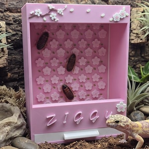 Peut inclure: Un gecko léopard se tient dans un terrarium comprenant une station de nourrissage rectangulaire rose avec le nom Ziggy en lettres en relief. La station présente un panneau arrière à motif floral avec trois insectes bruns. L'habitat inclut de l'écorce de liège, des plantes aériennes, un bol d'eau et un substrat de terre.