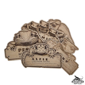 May include: A collection of laser-cut wooden reptile and amphibian figures, including a gecko named "Alfie" and a bearded dragon named "Pepper". Each figure has a name tag. The Rockstar Reptiles logo is in the bottom right corner.
