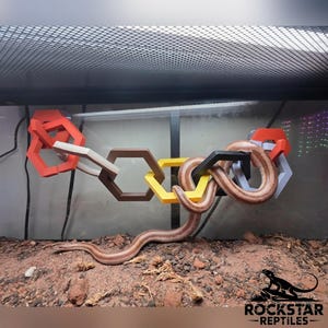 Modular Snake Enrichment Hex Links | Reptile Climbing Rings with Suction Cups | Terrarium Decor Toy for Ball Python, Hognose, Corn Snake