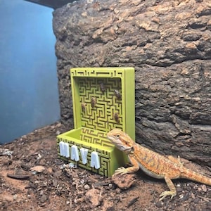 May include: A light green, rectangular, upright feeder with a maze-like pattern on its front panel and a small trough at the base. The white, raised letters spelling MAYA are attached to the front of the trough. A bearded dragon stands nearby.