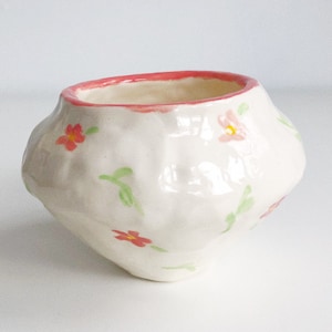 Pode incluir: Um pequeno vaso de cerâmica branco com uma borda rosa e um design floral. O vaso tem uma superfície texturizada e é decorado com pequenas flores rosa e laranja e folhas verdes.