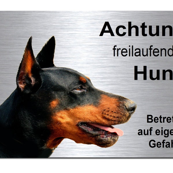 Dobermann-Achtung-Freilaufender Hund-Aluminium Dibond-Schild-Edelstahloptik-200 x 150  mm+297 x 210 x 3 mm-Warnschild-Hundeschild-HT*133-12