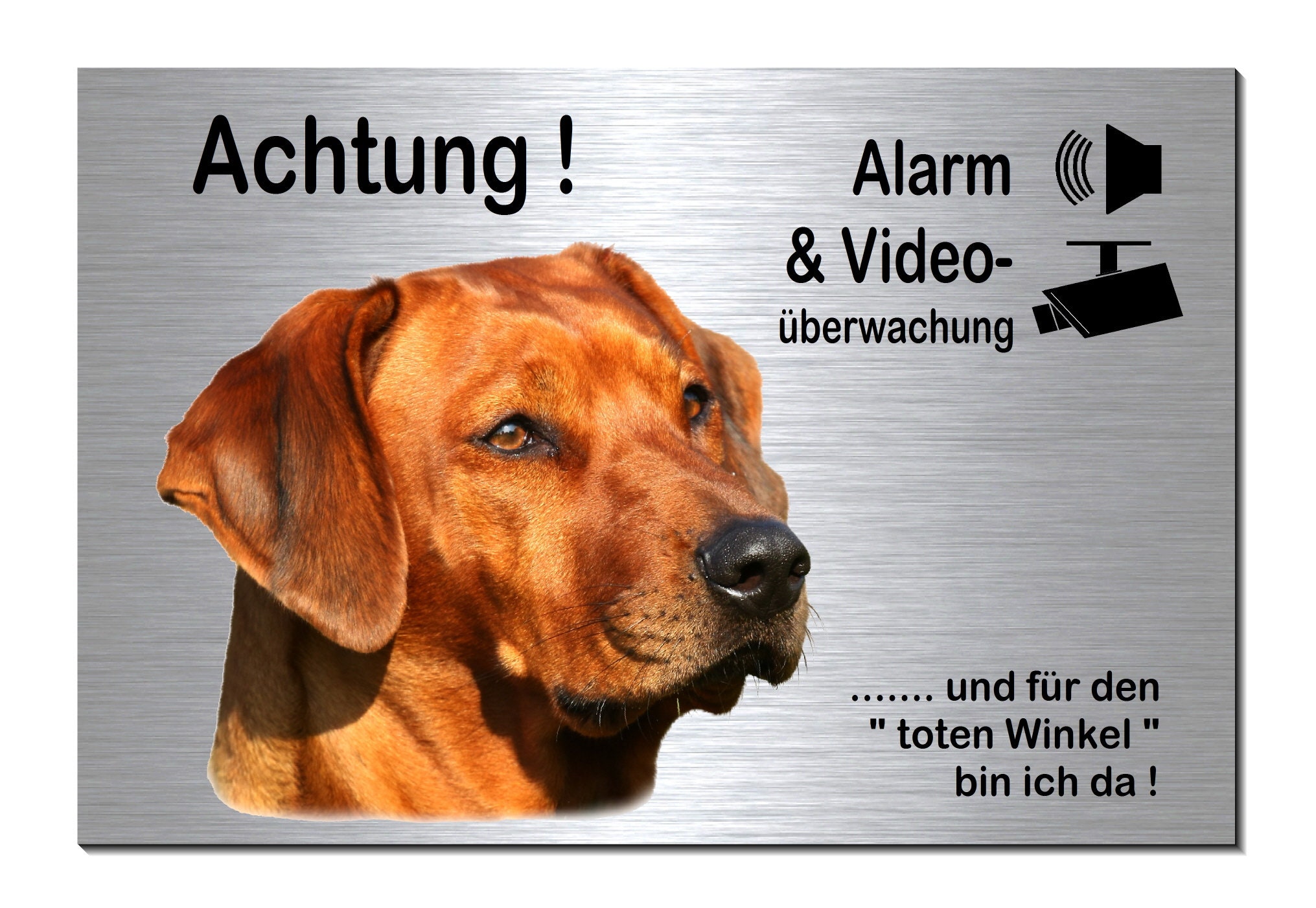 RHODESIAN RIDGEBACK Warnschild – Metallschild 30,5x20 Cm, Alu 0,5 Mm, Mit Lochung Optional