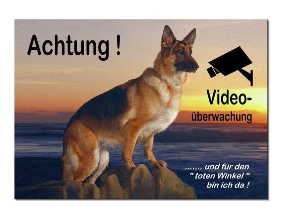 Videoüberwachung Schild ‚Vorsicht Hund‘ – Warnschild Für Haus, Garten Oder Grundstück Zur Abschreckung