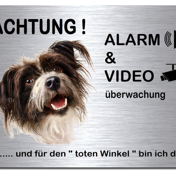 Terrier Alarm + Videoüberwachung-Aluminium Dibond-Schild-Edelstahloptik-297 x 210 x 3 mm-Warnschild-Hundeschild-HT*133-17