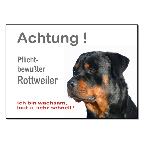 PITBULL Warnschild „Achtung Auf Den Hund“ Aus Aluminium, 3 Mm Dick, 30x20 Cm – Wetterfest, Mit Bohrungen, Für Tor & Wand