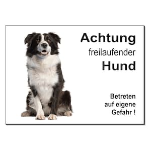 Border Collie-Achtung frelaufender Hund-Aluminium-Dibond-Schild-297 x 210 x 3 mm-Warnschild-Hinweisschild-Hundeschild-HT*1451-116