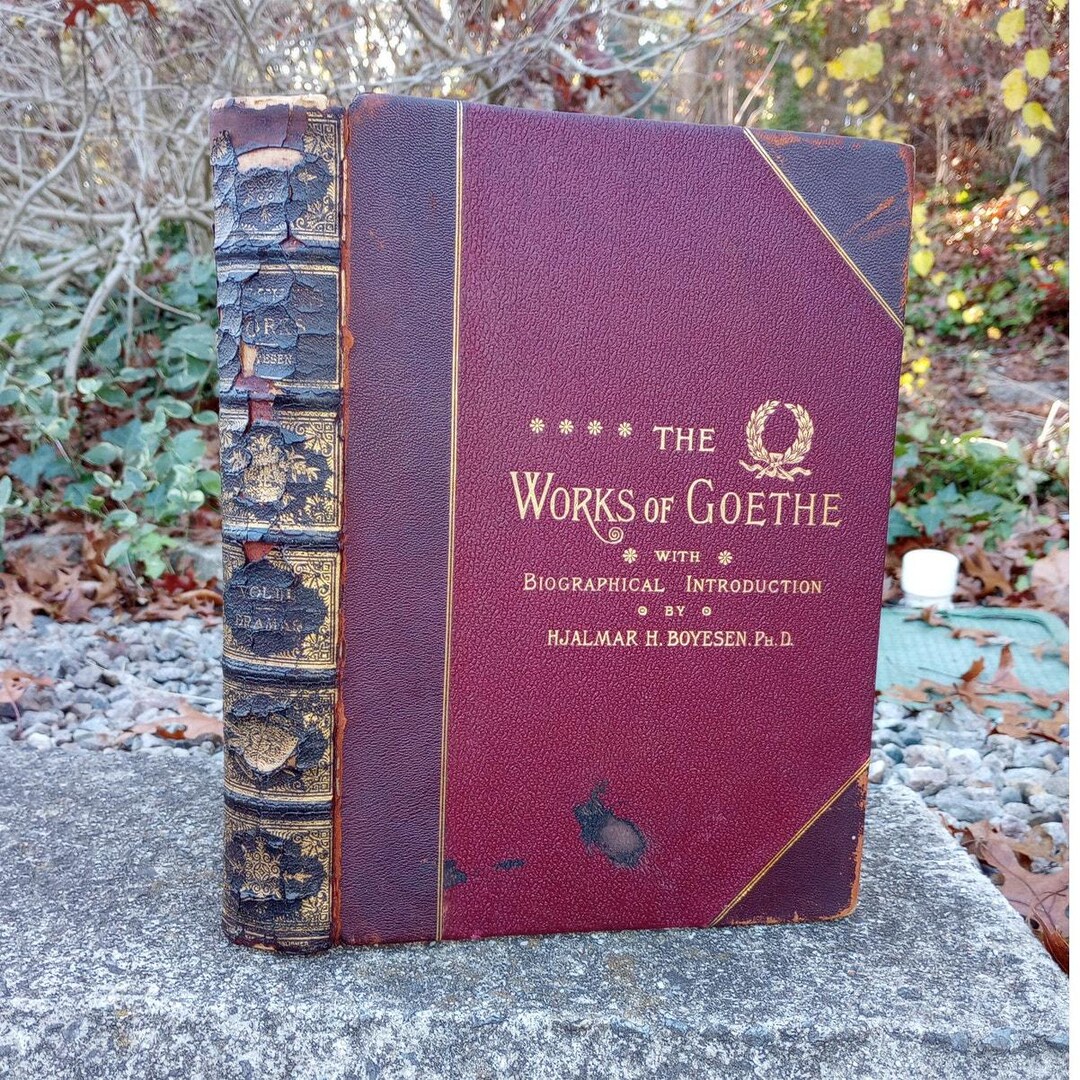 Antique Folio Hardcover Goethe's Works 1885 Vol III Dramas Profusely ...